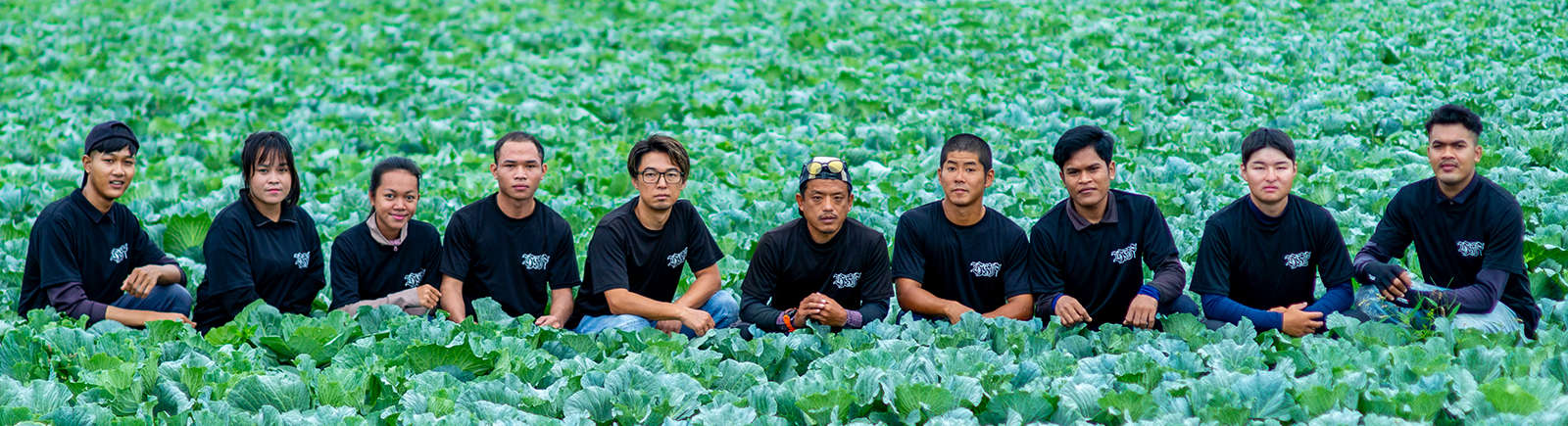 畑に集まる農家の人