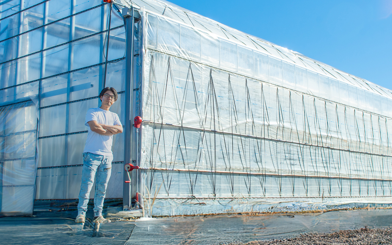 ビニールハウス