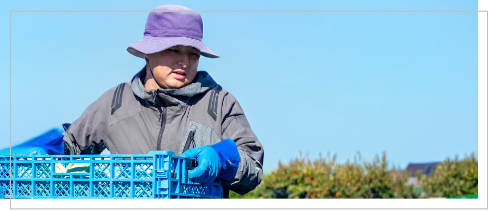 実家の農業を継ぐ