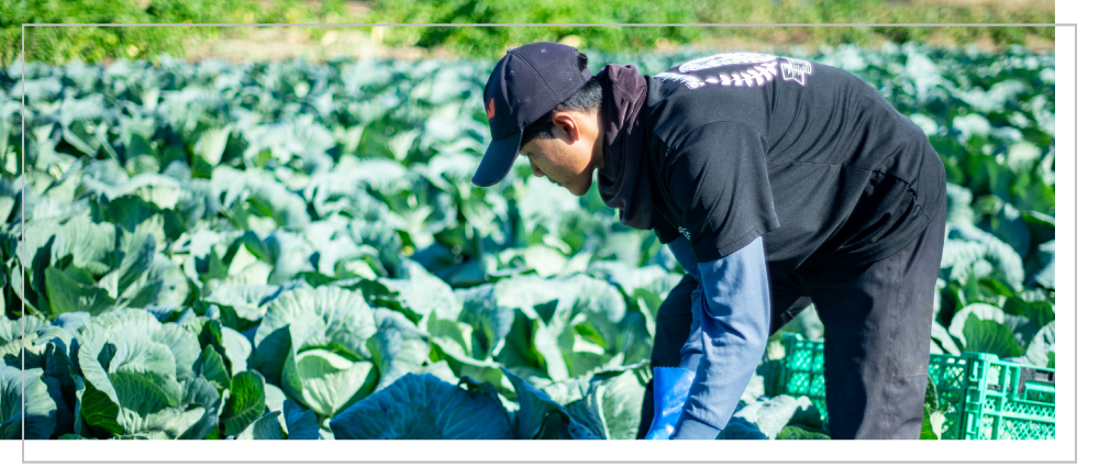独立・起業・事業承継を検討
